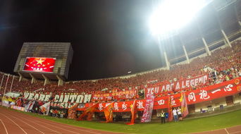 九游体育下载-场馆设施翻新完成比赛场地改造计划推进，场馆设计方案